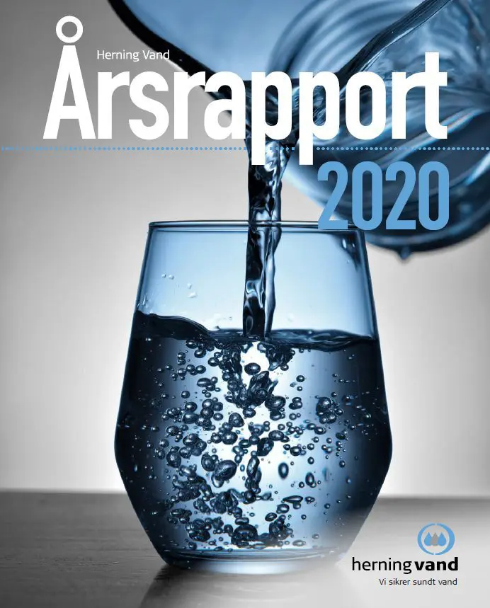 Årsrapport 2020
