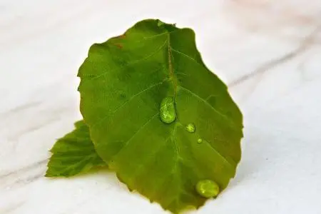 Årsafregning 2019 er på trapperne