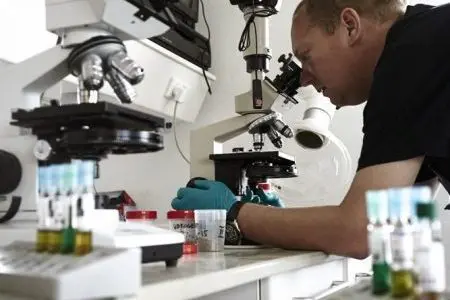 millioninvestering i den trojanske hest