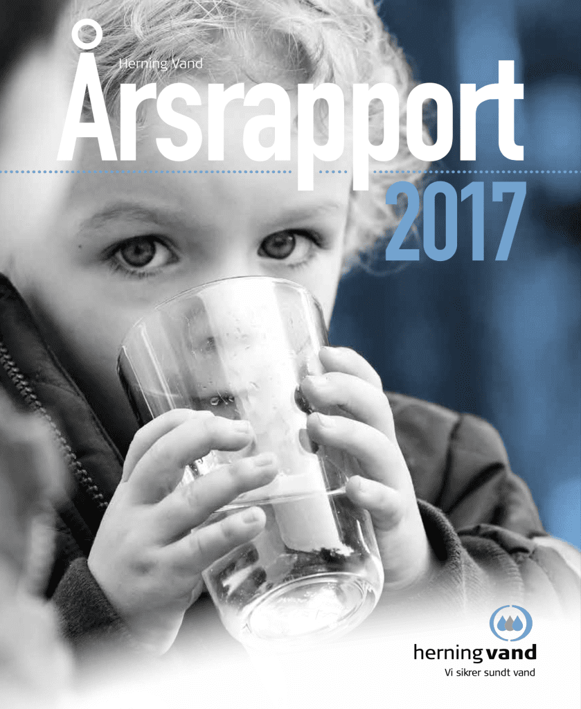 årsrapport 2017